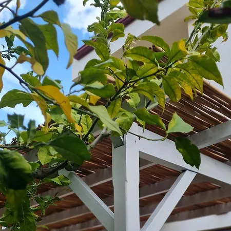Paydos Yarımada